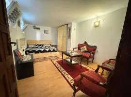 Airport, Belgrade, 1 bedroom, 1 living room