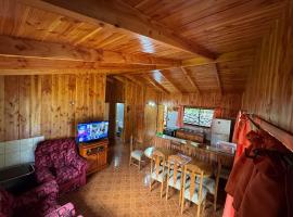 Kofkeche Mapu, Hotel in Licán Ray