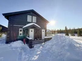 Gorgeous Home In Sjusjøen With Wifi
