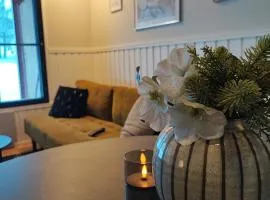 Talitintti Levi, 1 bedroom apartment