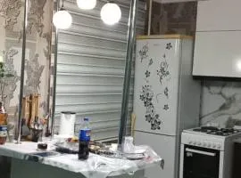 Квартира центр