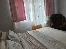 2 комнатные аппартаменты на бульваре Пушкина