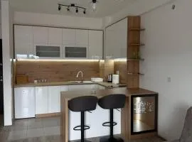 apartmanjagodinaana 2