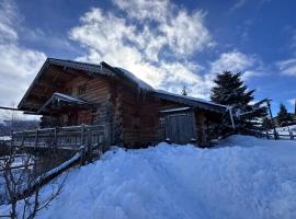 Chalet Cosy 12p - 5 min des pistes - spa, Hotel in Bolquere