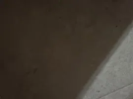 המלון של מיקה