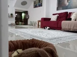 Casa térrea lindamente decorada e climatizada