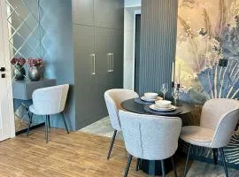 Apartamenty Kielce- SMART APART, Rynek, Sienkiewicza, centrum, faktura, parking, centrum