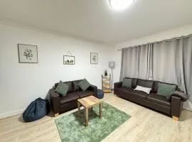 Modern 3BDR Family Home Near Welsh Harp Hendon