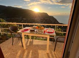 Tropical House, Hotel in Ribeira Brava