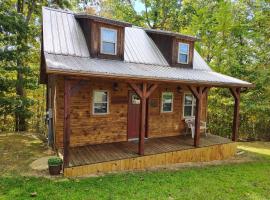 The Genoa - An Amish Built Deluxe Cabin, Hotel in Genoa