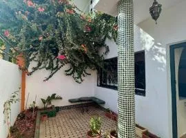 Elegant Riad Style Villa with a Traditional Moroccan Garden