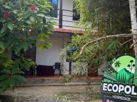 ecopolis hospedaje birding