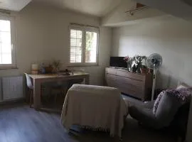 Maisonnette Montferrandaise proche Tram - 6 couchages - tram - wifi