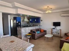 Excellent Appartement S plus 3