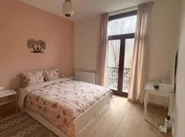 Le Goujons - New apartment near Midi Station