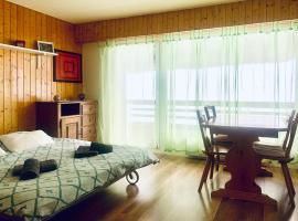 Studio Mont Rouge Veysonnaz 4 Vallées โรงแรมในVeysonnaz