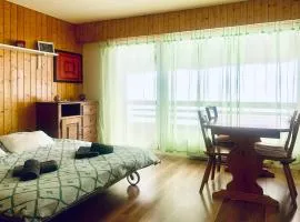 Studio Mont Rouge Veysonnaz 4 Vallées