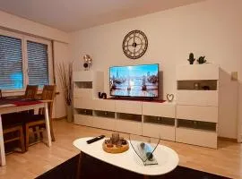 3 Room Apartment for up to 5 Guests Free WiFi Netflix Sky DAZN Disney Plus 1000 International TV Channels