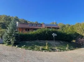 Pensiunea Mihaiu Sasului