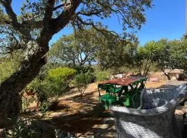 Il Lentischio Casa B2