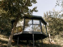 Open View Place Octagon, Hotel in Pângărăcior