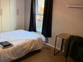 STOCKTON CONTTRACTOR DIGs