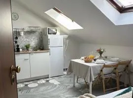 Tommy's Home-Allianz Stadium, Parco Dora