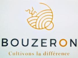 Demeure des Lions, Hotel in Bouzeron