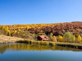 Cabana La Moara, viešbutis mieste Ciurila