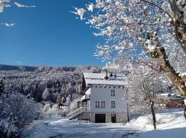 Dolomiti Garden Flat near Cortina