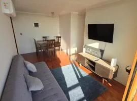 Comodidad en Concepcion Centro