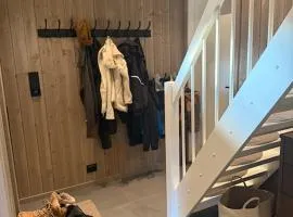 Høyfjellshytta Fidjeland