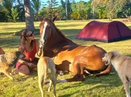 Eco Lodges & Camping, Chalets Tropicales, Macao Beach, Bávaro, Punta Cana