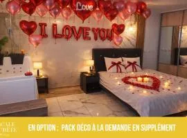 Escale secrète Montargis Jacuzzi Terrasse Parking gratuit