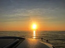 Ocean 海上玩家 溫潤雅靜 景觀溫泉小館