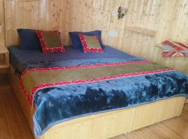 Shiva cottage, Hotel in Kullu Manali