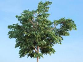 Đã Hủy, Hotel in Trùng Khánh