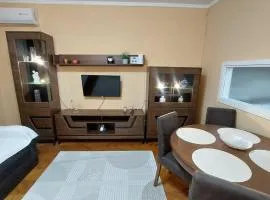 Apartments Damjan