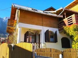 Poiana Verde Busteni, Hotel in Buşteni