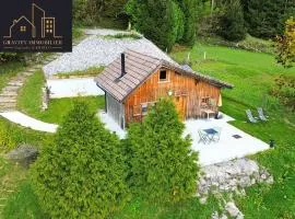 Petit chalet en bois avec mezzanine en montagne