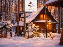 Klimatyczne Domki - Całoroczne, ξενοδοχείο σε Radomsko