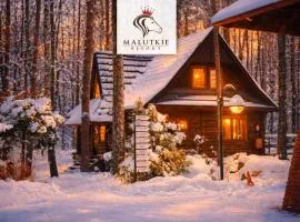 Klimatyczne Domki - Całoroczne