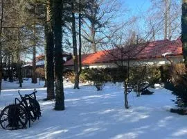 Noclegi Pod Dębem u Jakuba