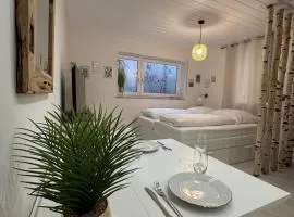 Moderne FeWo nahe Mainz für 4 Personen