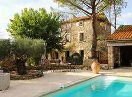 luxury farm jacuzzi heated pool in Isle sur la sorgue