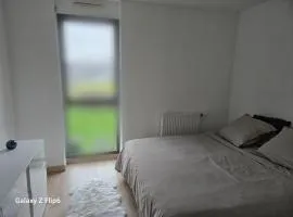 Appartement Dunkerque proche de la plage