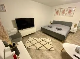 Apartment Moderne und gemütliche Ferienwohnung in Zwickau free Wifi und Netflix by Interhome
