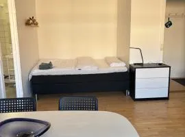 Cozy apartment near nature and Copenhagen