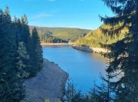 Apartment Landhaus Schneekopf by Interhome