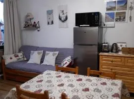 appartement 4 à 6 personnes la Joue du Loup